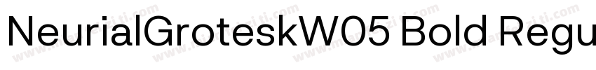 NeurialGroteskW05 Bold Regular字体转换